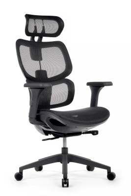 Кресло для руководителя Riva Design Argo W-228 черная сетка